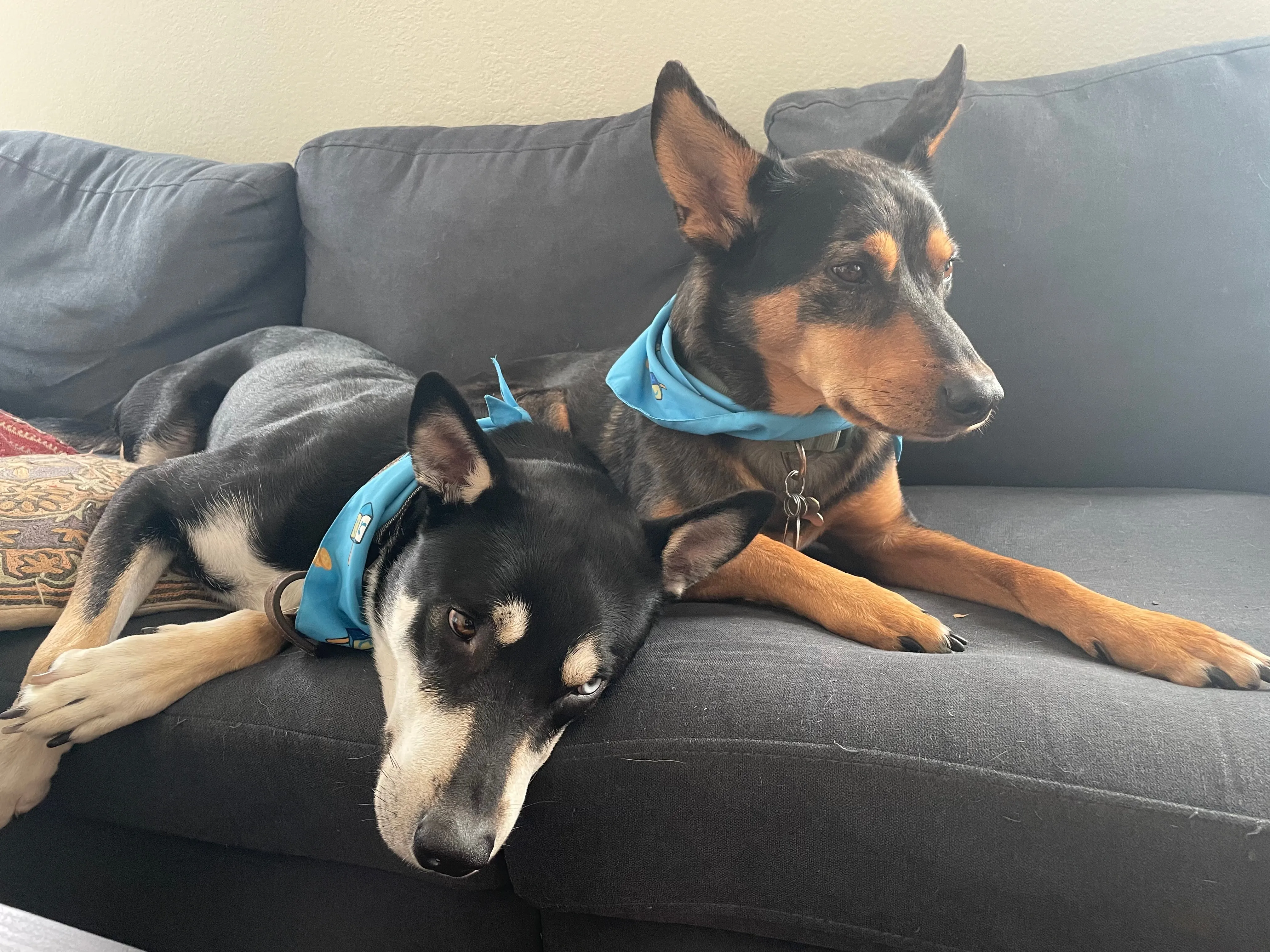 Section header image